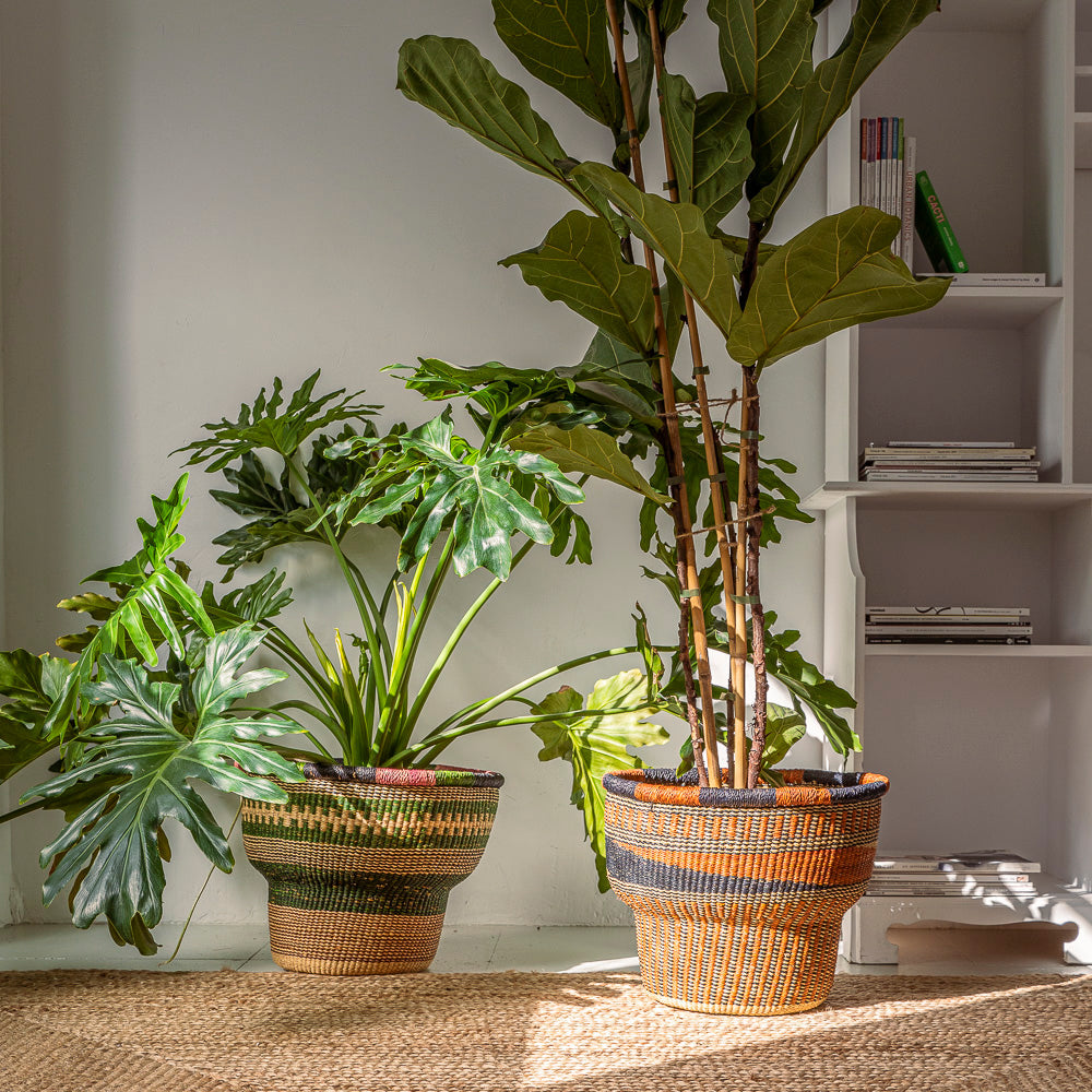 Plants in two planter baskets with colourful intricate patterns on them.  Designed by Akan Republic.